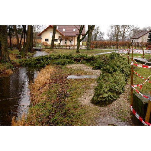Bild 3 zum Block 3945