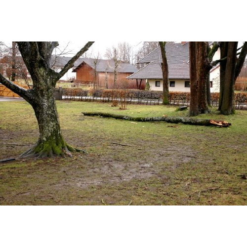 Bild 5 zum Block 3945