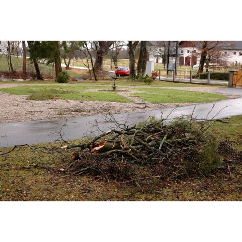 Bild 6 zum Block 3945