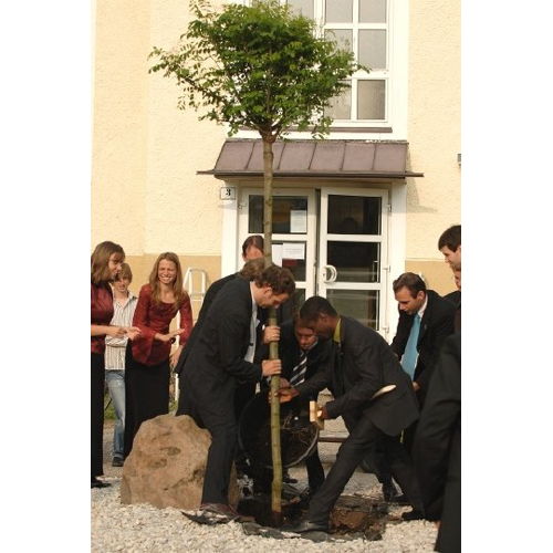 Bild 29 zum Block 3971