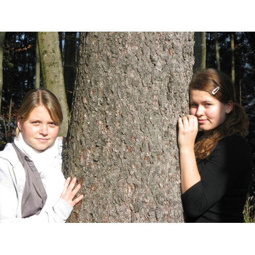 Bild 13 zum Block 4058
