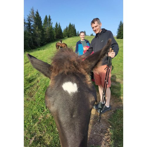 Bild 16 zum Block 5535