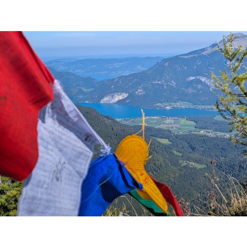 Bild 33 zum Block 6449