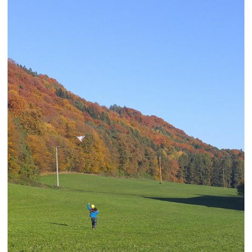 Bild 6 zum Block 4497